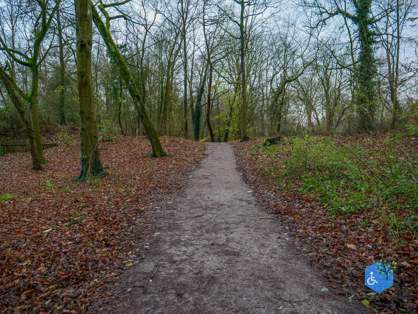 Zwolle_Het_Engelse_Werk_06-12-2024-31