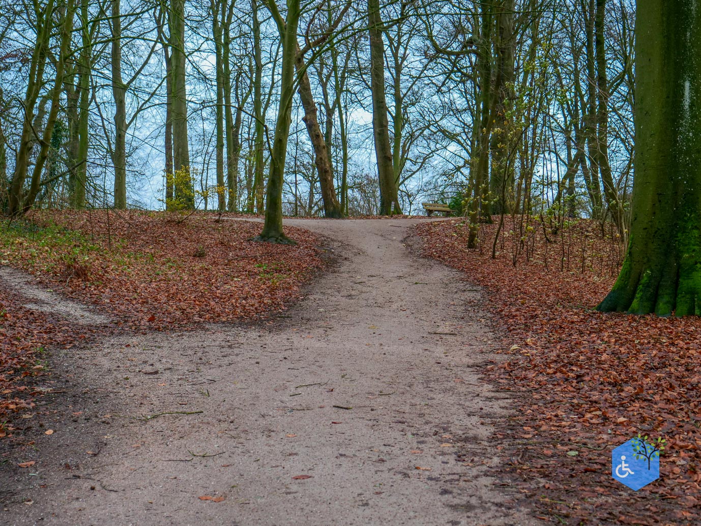 Zwolle_Het_Engelse_Werk_06-12-2024-39