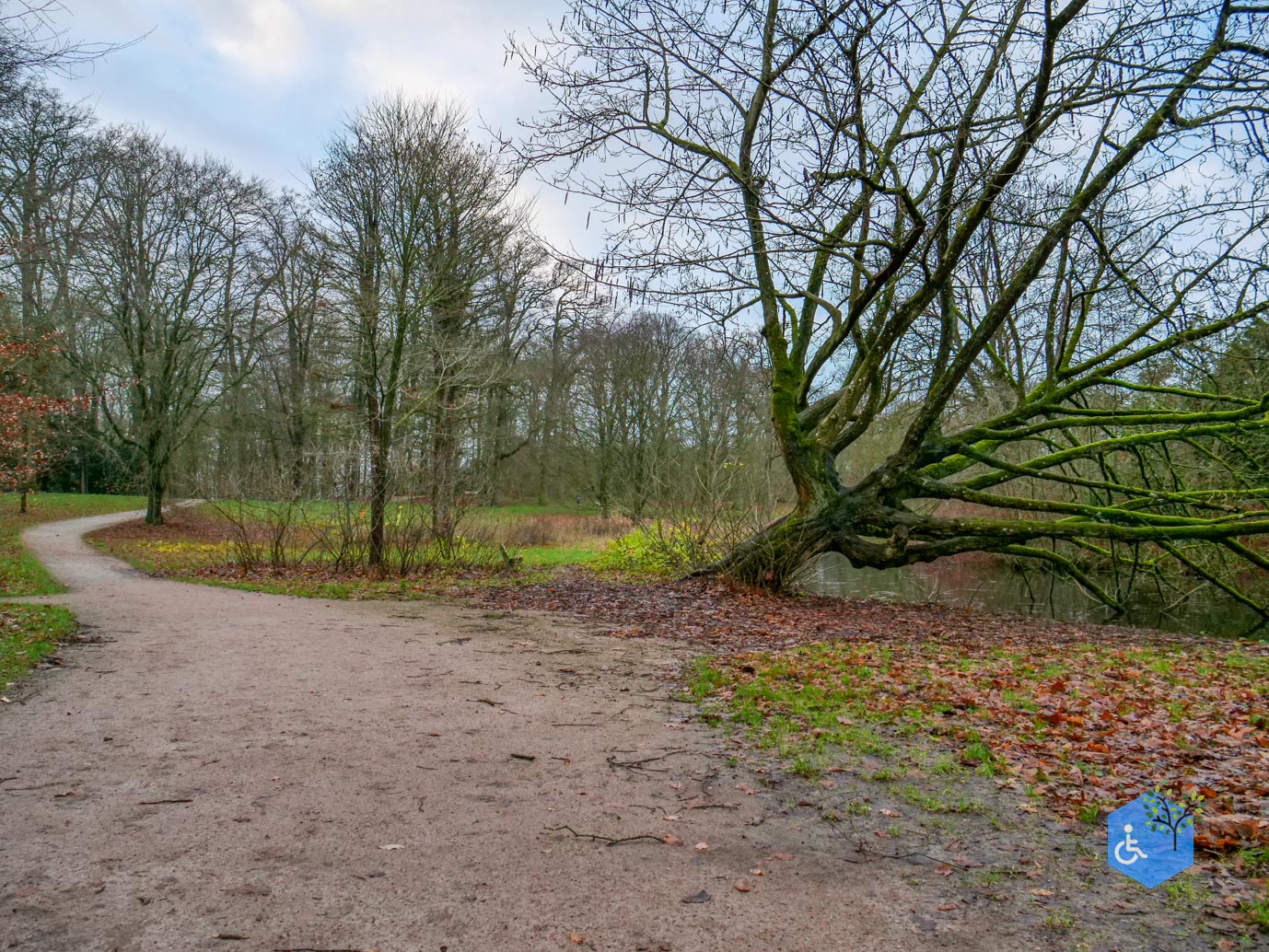 Zwolle_Het_Engelse_Werk_06-12-2024-43
