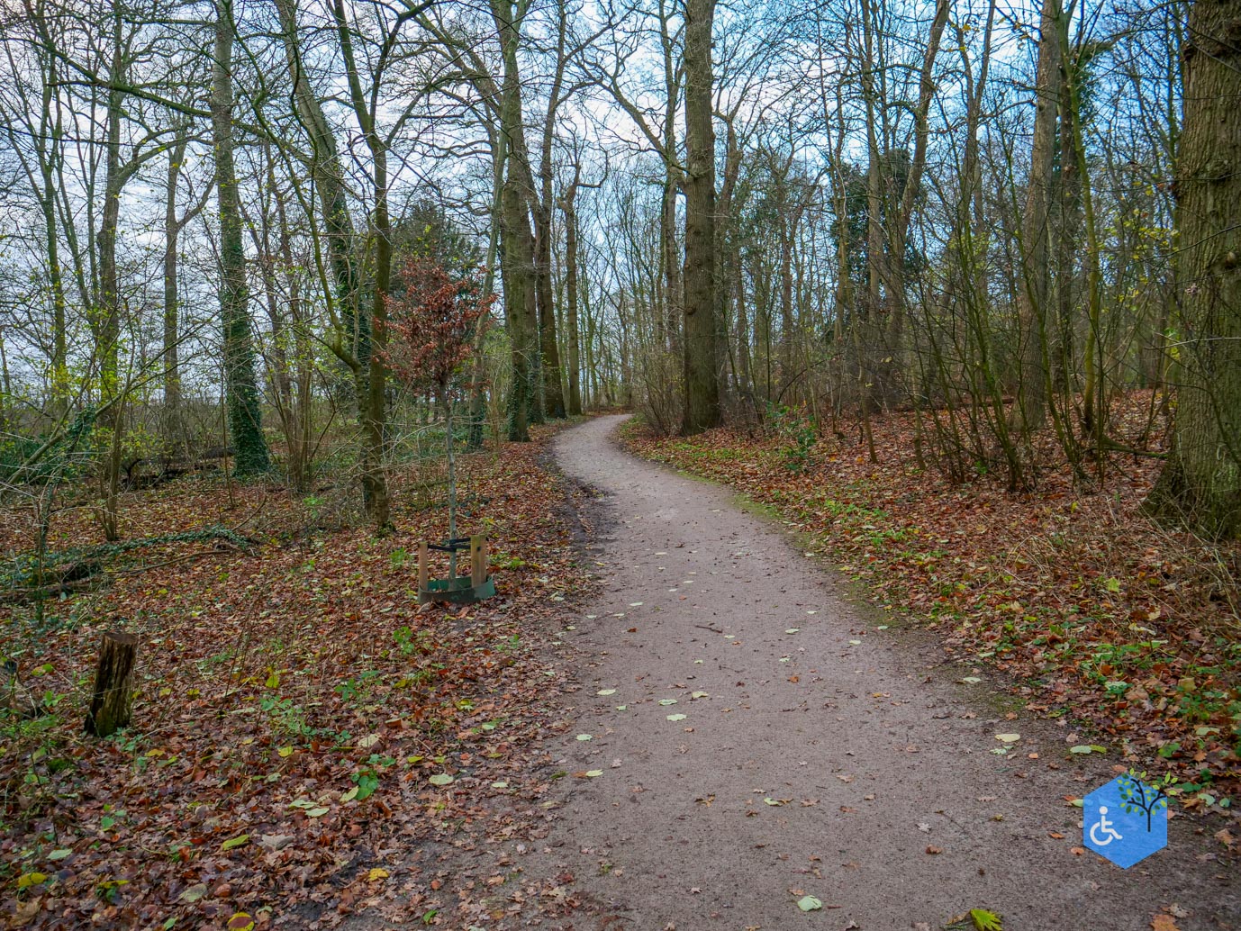 Zwolle_Het_Engelse_Werk_06-12-2024-46