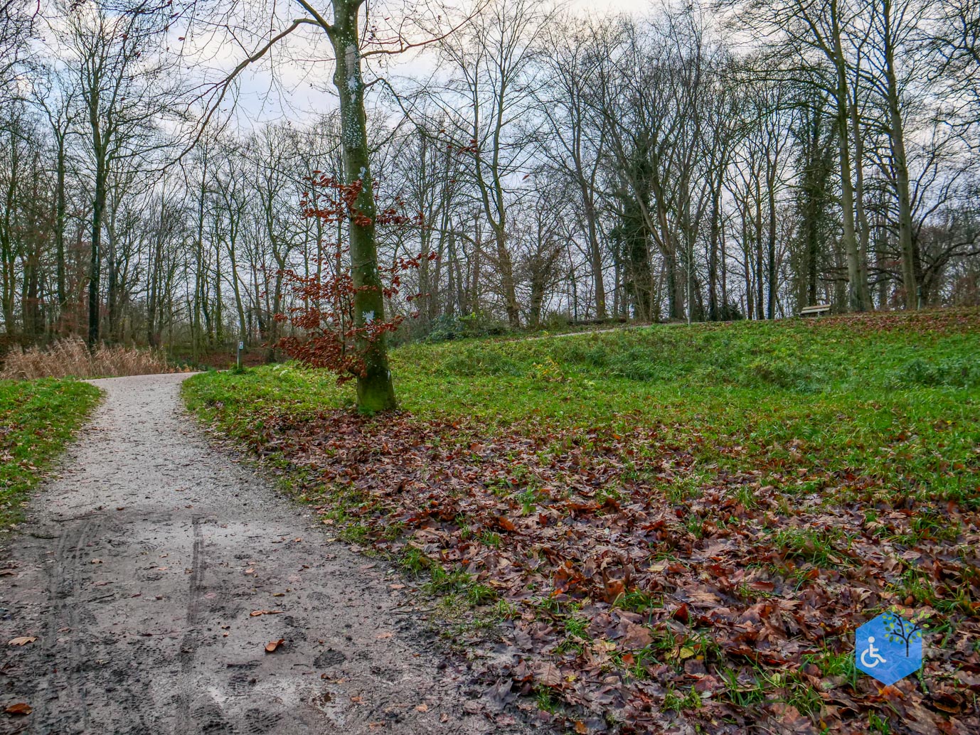 Zwolle_Het_Engelse_Werk_06-12-2024-48