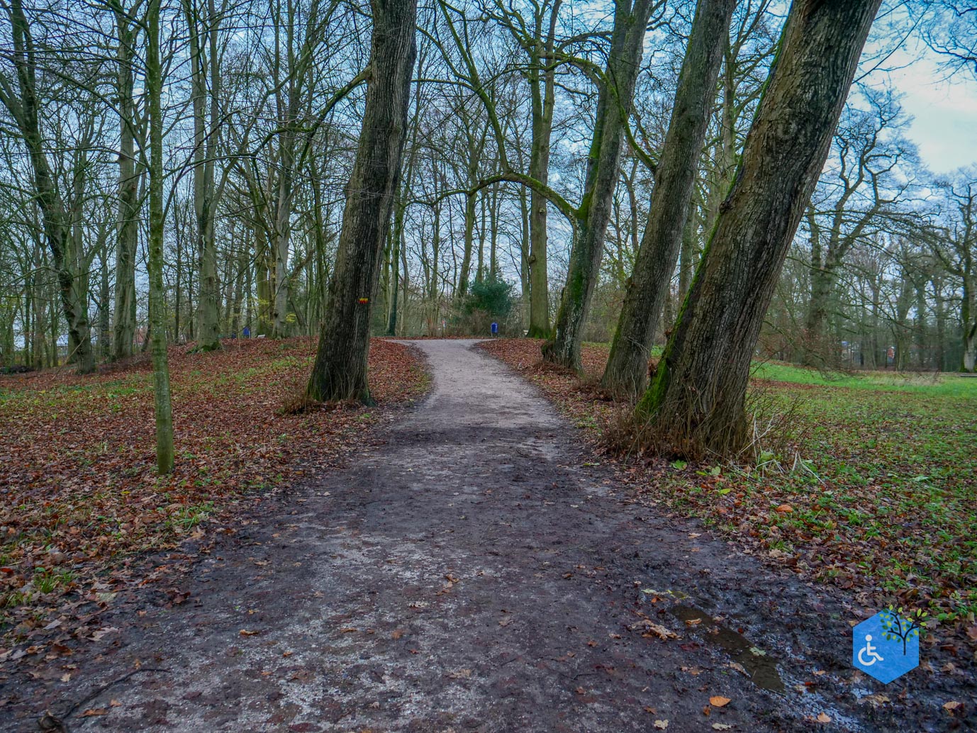 Zwolle_Het_Engelse_Werk_06-12-2024-49