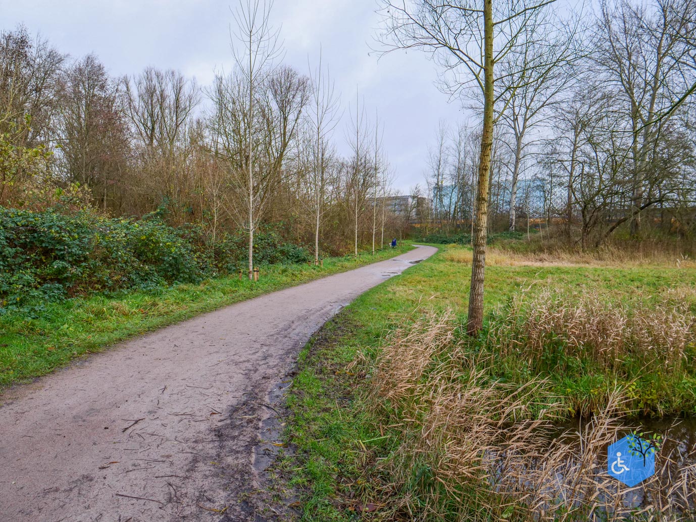 Zwolle_Het_Engelse_Werk_lang_06-12-2024-08