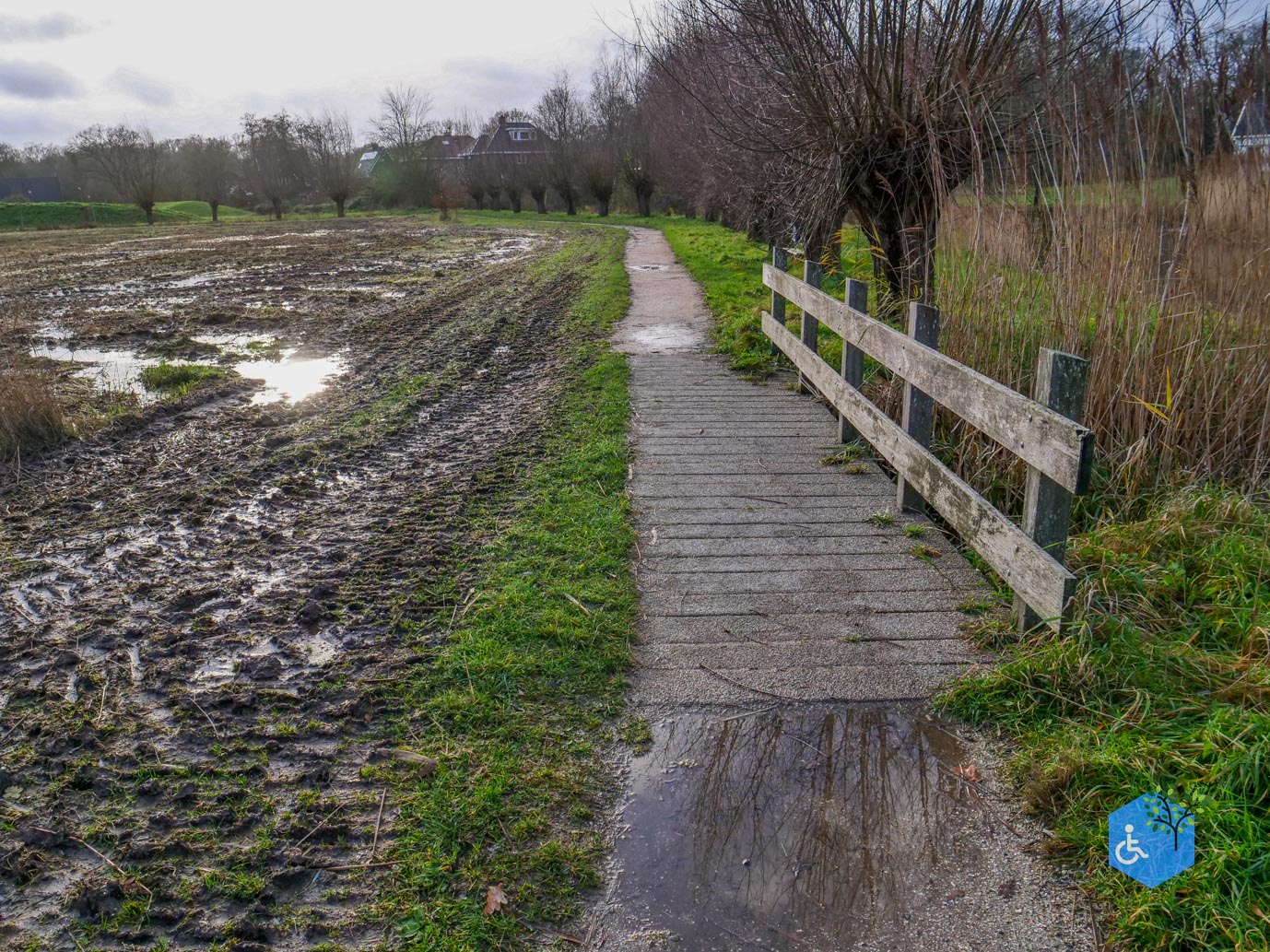 Zwolle_Het_Engelse_Werk_lang_06-12-2024-24