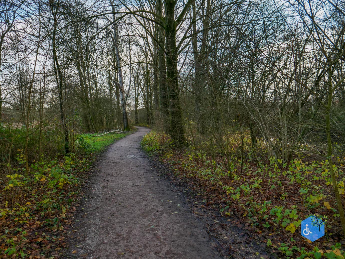 Zwolle_Het_Engelse_Werk_lang_06-12-2024-28