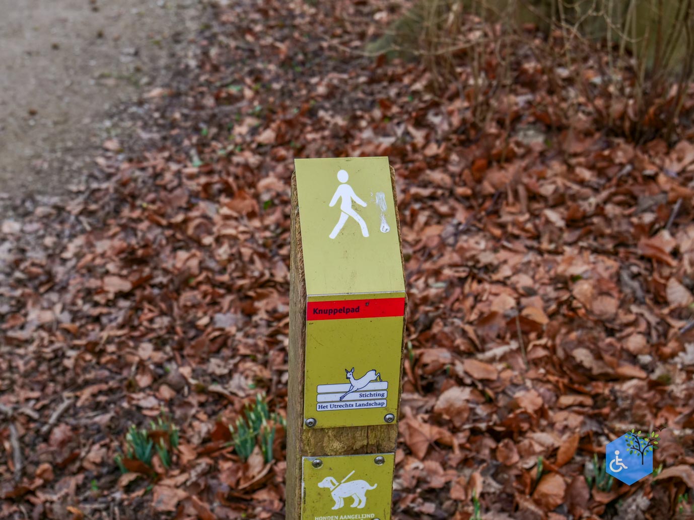 De_Bilt_Landgoed_Oostbroek_08-02-2025-03