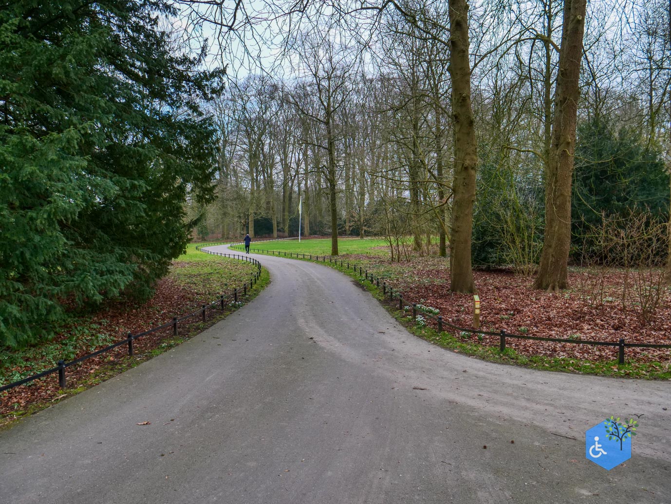 De_Bilt_Landgoed_Oostbroek_08-02-2025-06