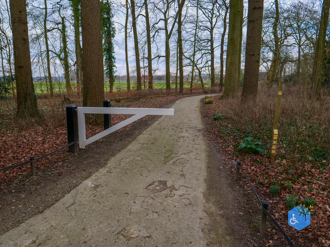 De_Bilt_Landgoed_Oostbroek_08-02-2025-09