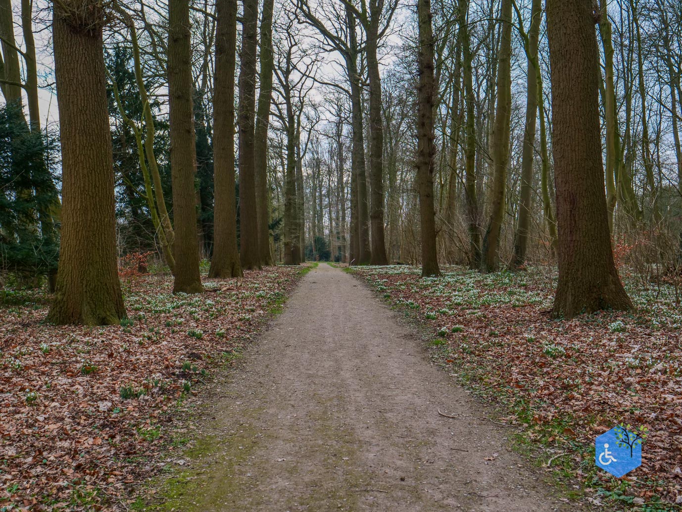 De_Bilt_Landgoed_Oostbroek_08-02-2025-10