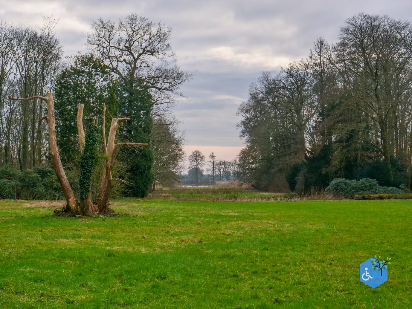 De_Bilt_Landgoed_Oostbroek_08-02-2025-13