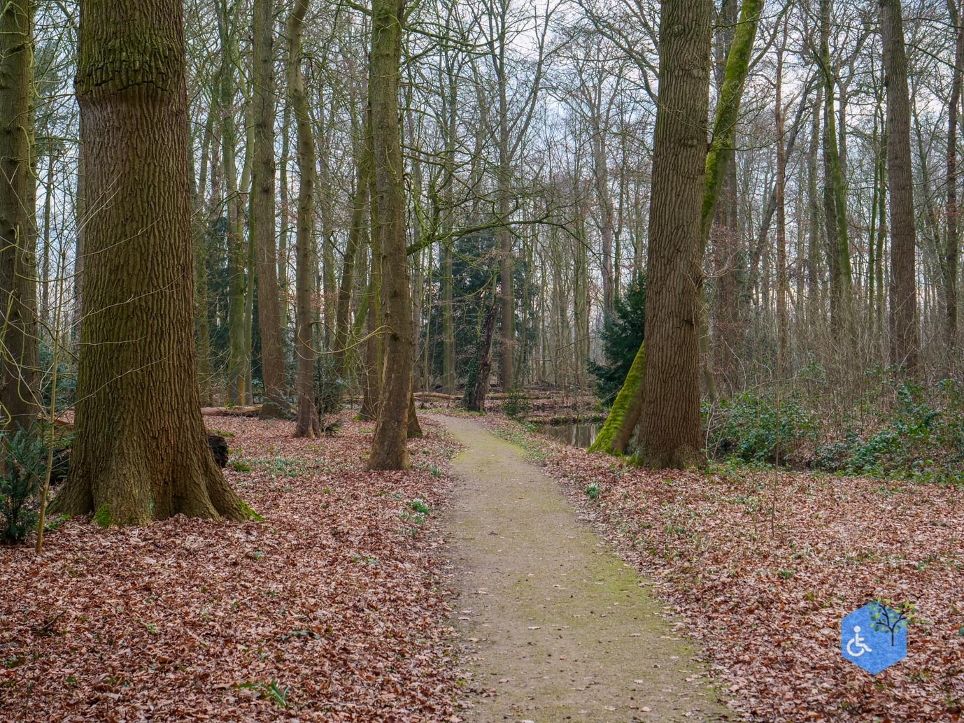 De_Bilt_Landgoed_Oostbroek_08-02-2025-16