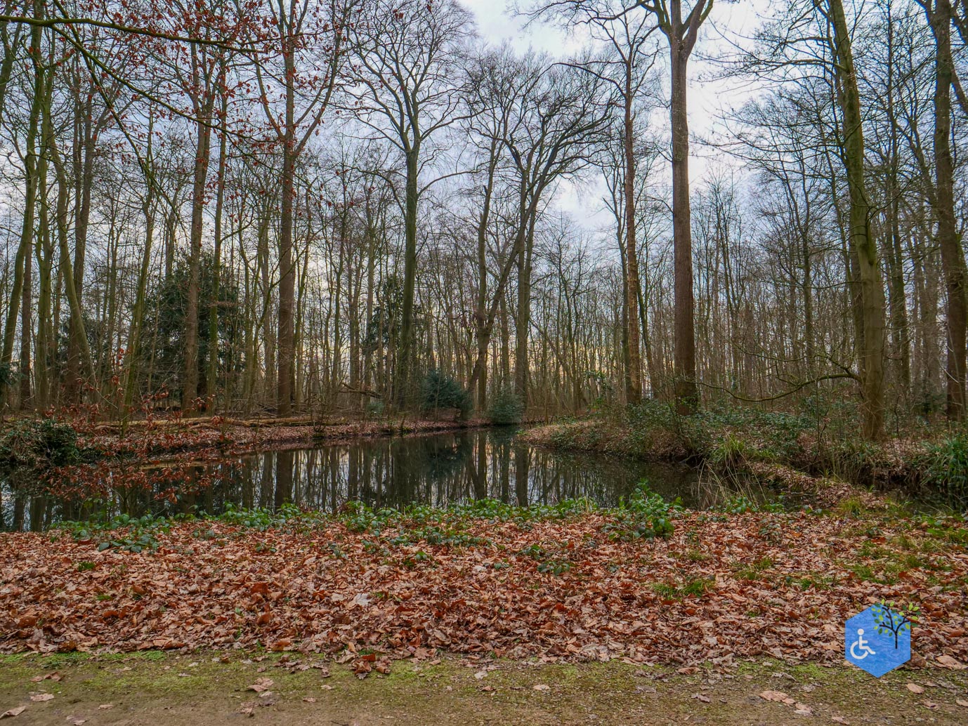 De_Bilt_Landgoed_Oostbroek_08-02-2025-17