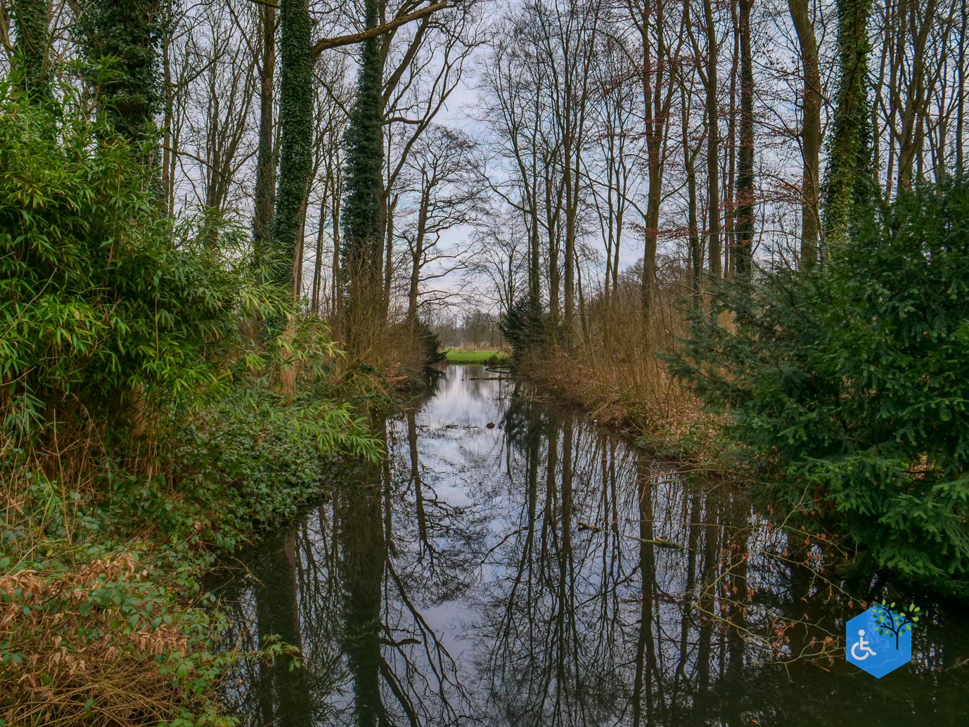 De_Bilt_Landgoed_Oostbroek_08-02-2025-21