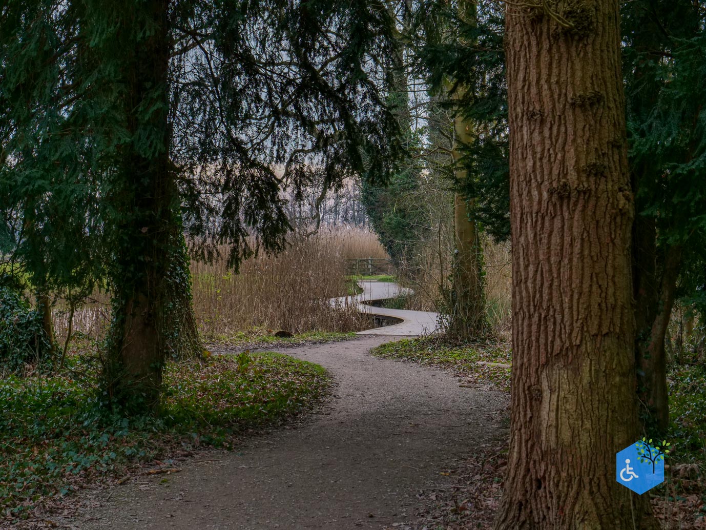 De_Bilt_Landgoed_Oostbroek_08-02-2025-25