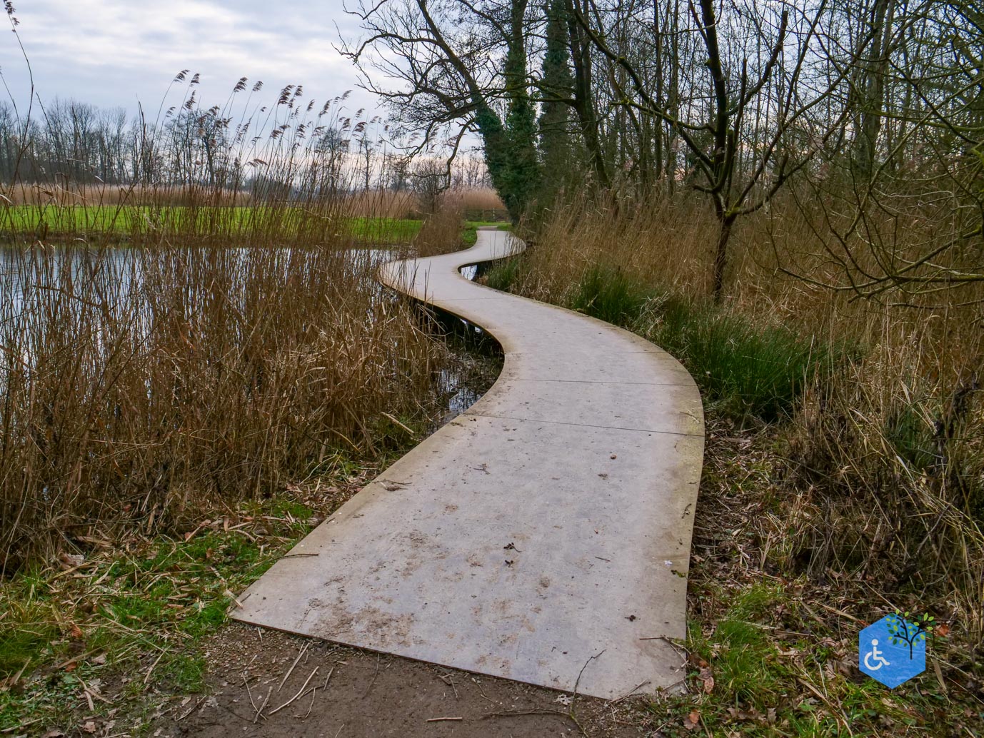 De_Bilt_Landgoed_Oostbroek_08-02-2025-27