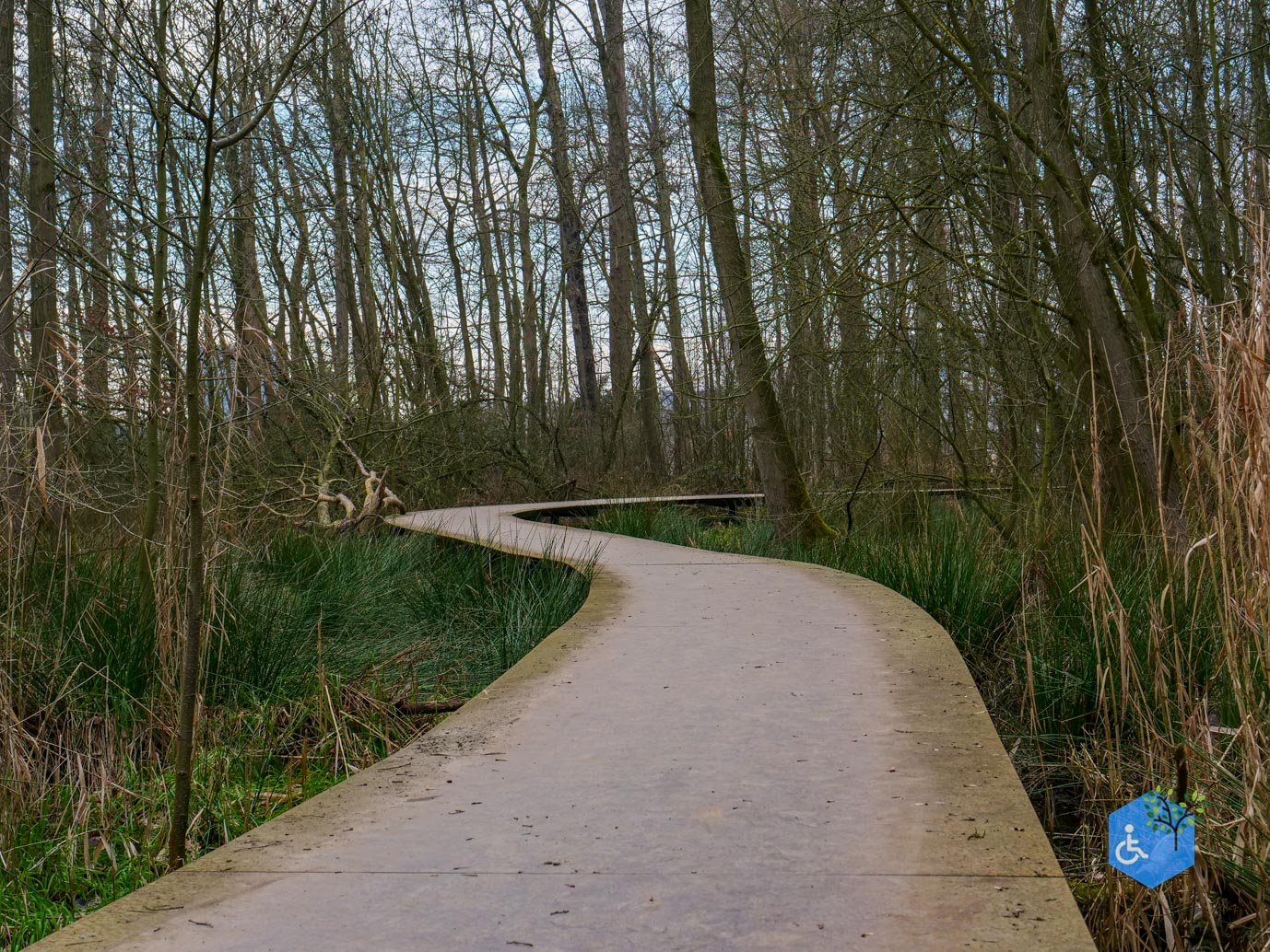 De_Bilt_Landgoed_Oostbroek_08-02-2025-33