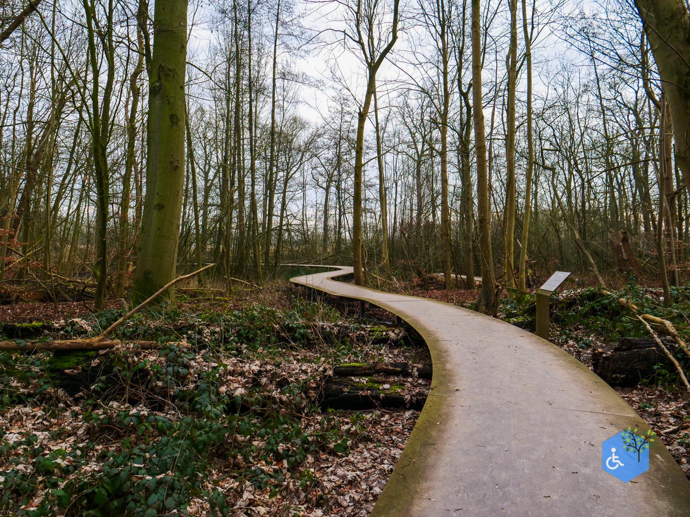 De_Bilt_Landgoed_Oostbroek_08-02-2025-35