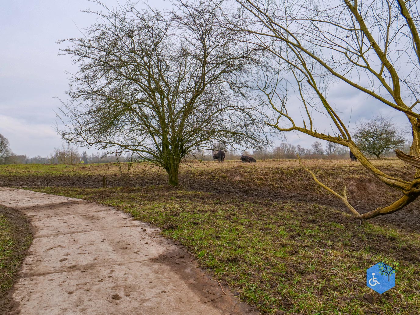 Rhenen_De_Blauwe_Kamer_15-02-2025-07