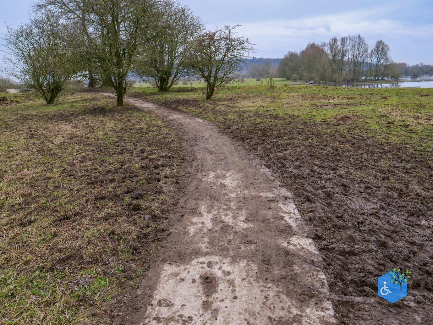 Rhenen_De_Blauwe_Kamer_15-02-2025-08