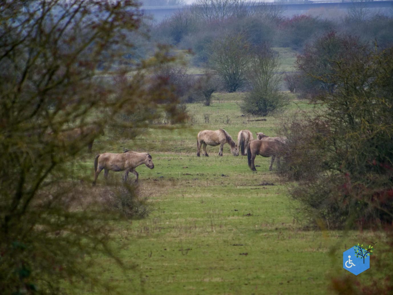 Rhenen_De_Blauwe_Kamer_15-02-2025-13