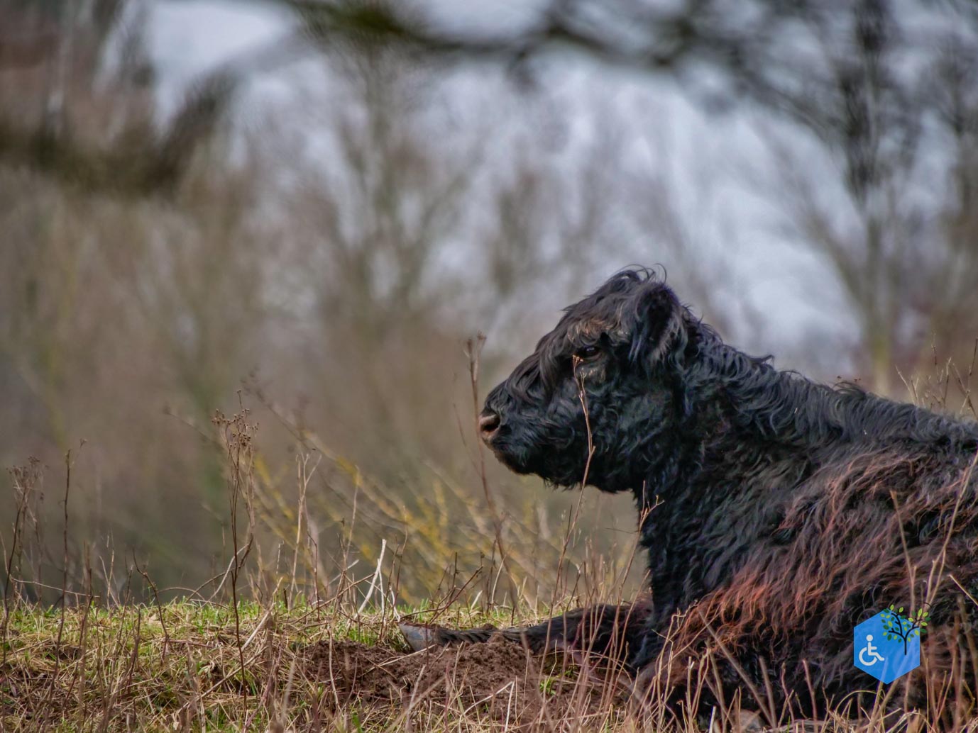 Rhenen_De_Blauwe_Kamer_15-02-2025-15