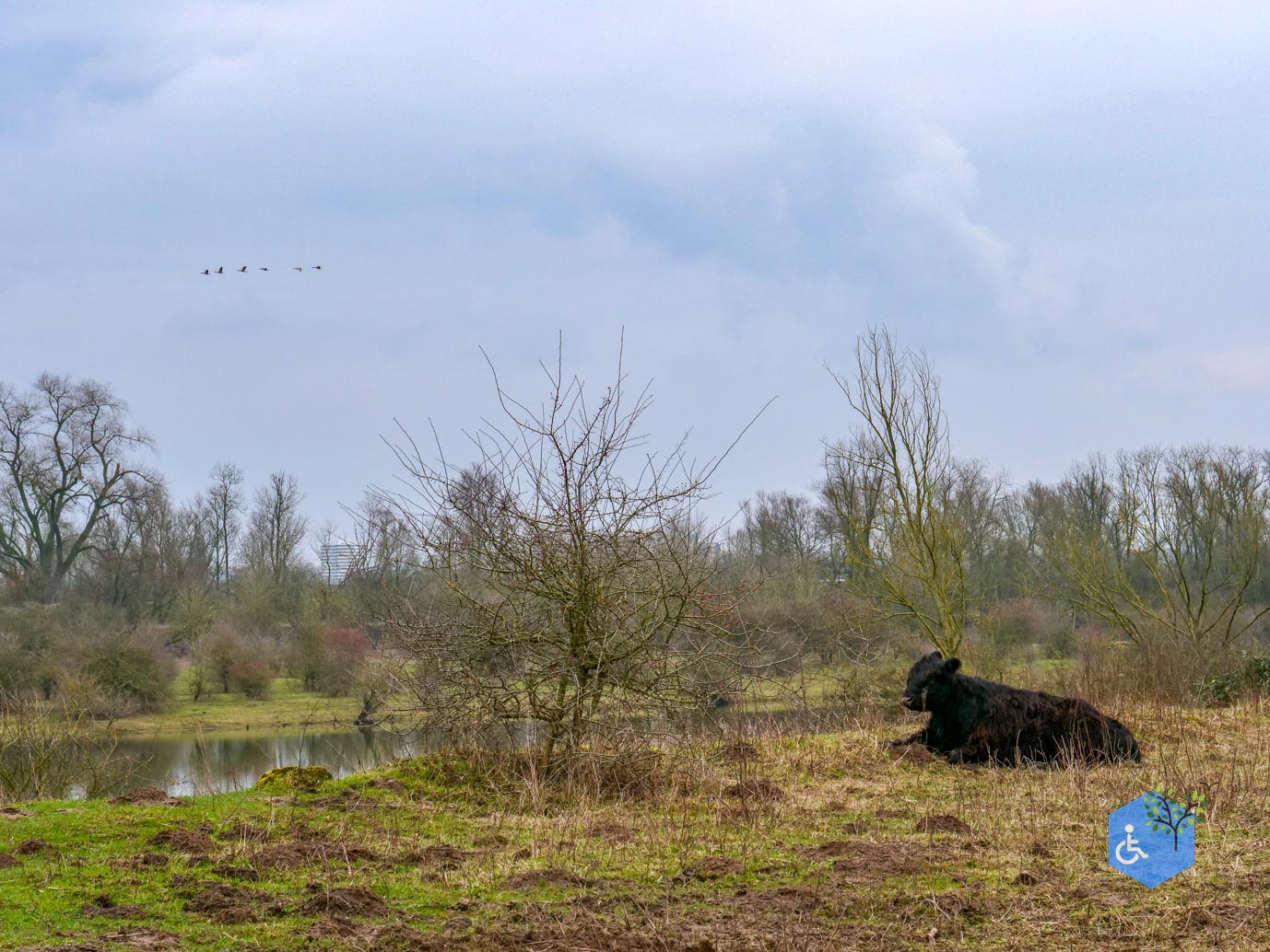 Rhenen_De_Blauwe_Kamer_15-02-2025-18
