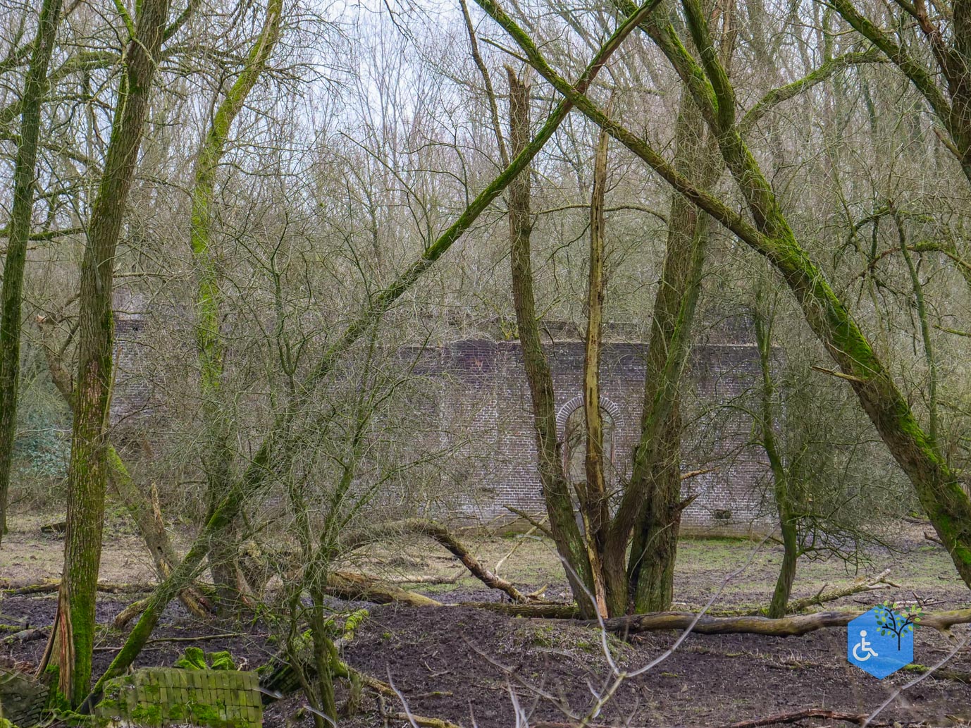 Rhenen_De_Blauwe_Kamer_15-02-2025-19