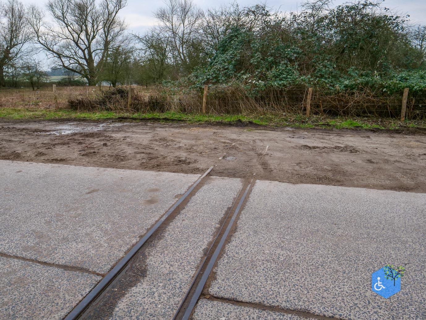 Rhenen_De_Blauwe_Kamer_15-02-2025-23