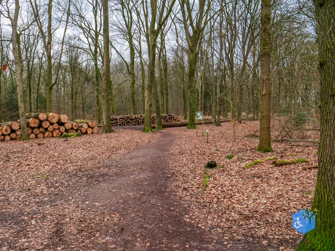 Rhenen_Landgoed_Prattenburg_15-02-2025-05