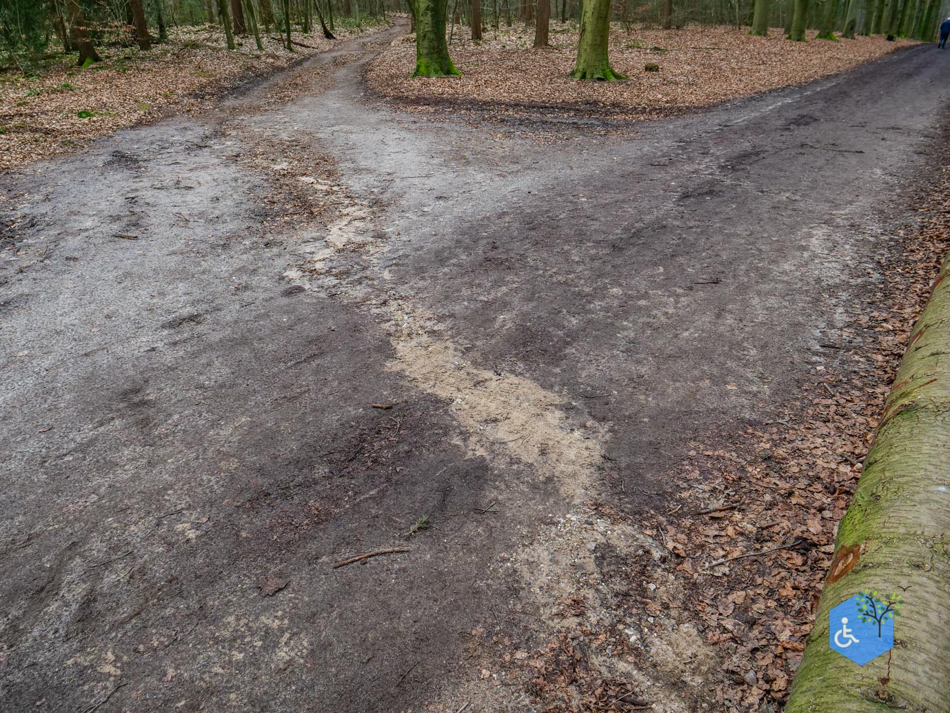 Rhenen_Landgoed_Prattenburg_15-02-2025-09