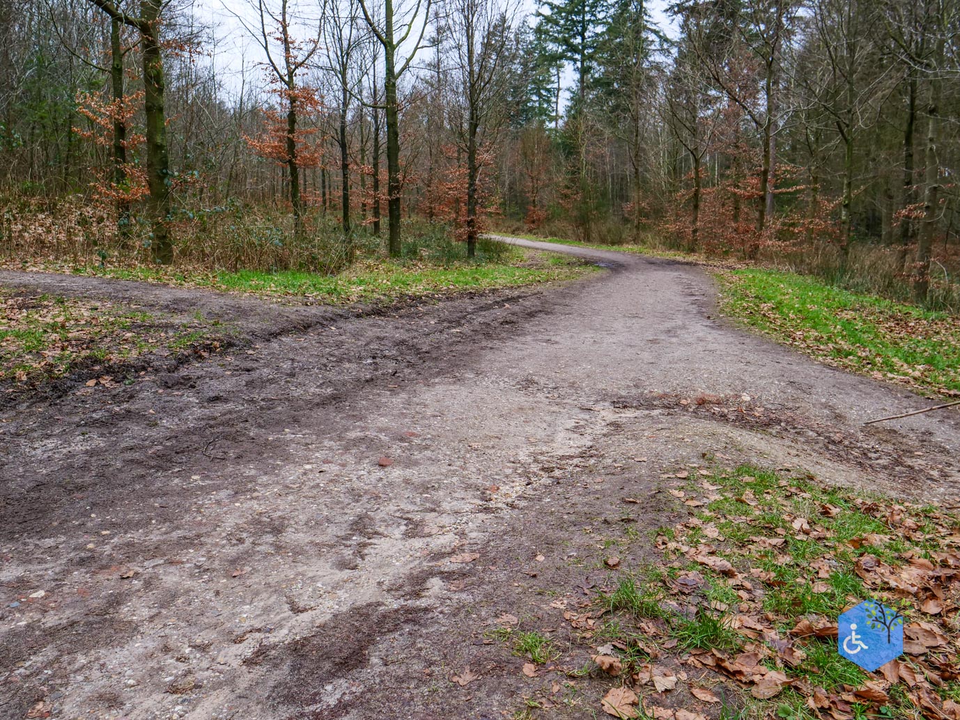 Rhenen_Landgoed_Prattenburg_15-02-2025-11