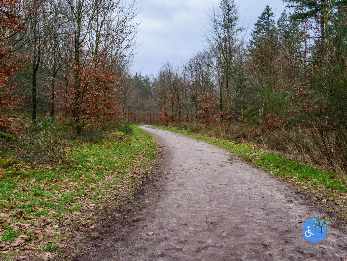 Rhenen_Landgoed_Prattenburg_15-02-2025-12