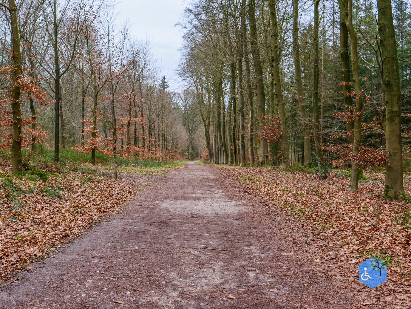 Rhenen_Landgoed_Prattenburg_15-02-2025-14