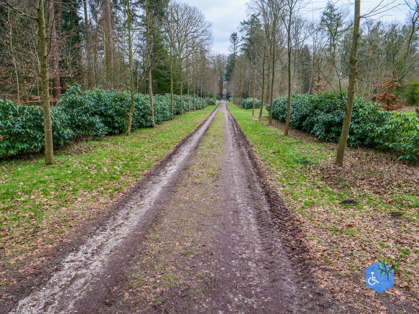 Rhenen_Landgoed_Prattenburg_15-02-2025-15