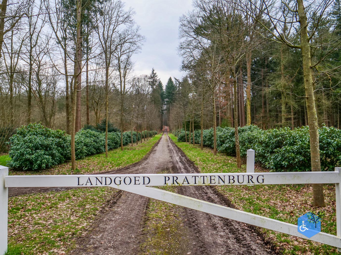 Rhenen_Landgoed_Prattenburg_15-02-2025-18