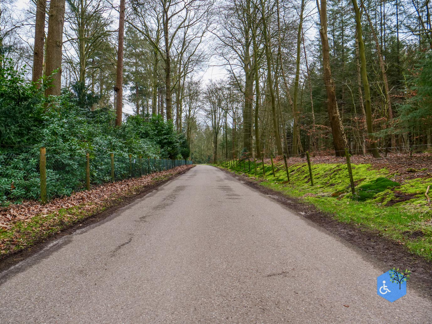 Rhenen_Landgoed_Prattenburg_15-02-2025-20