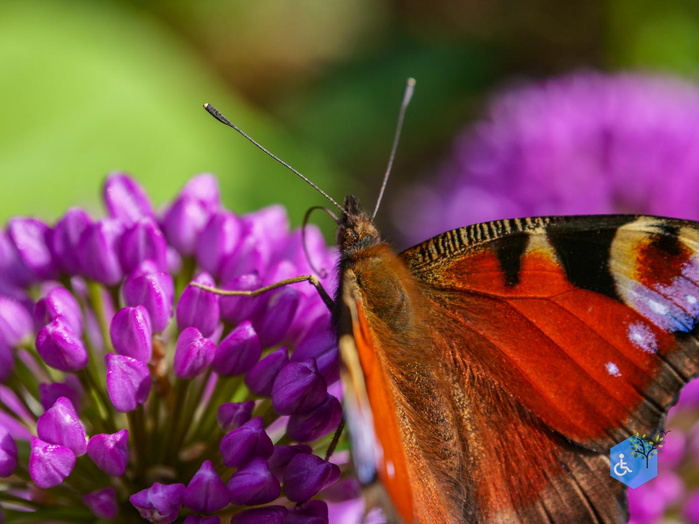 Hassleholm_Hovdala_Slott_01-04-2025-16