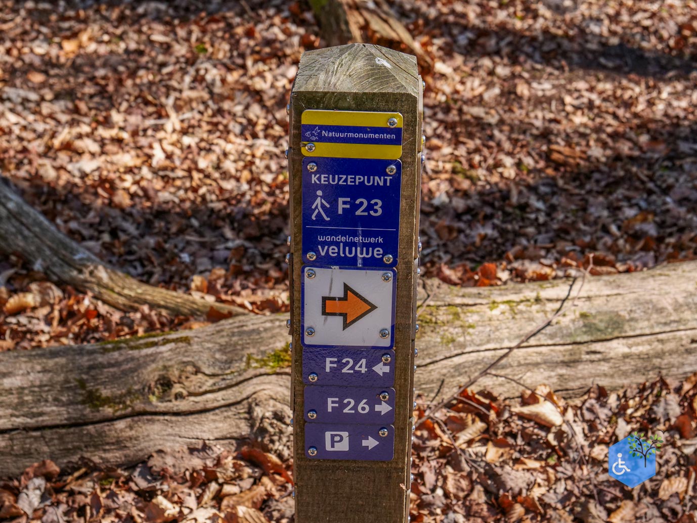 Ermelo_Familiepad_Leuvenumse_bossen_04-04-2025-02