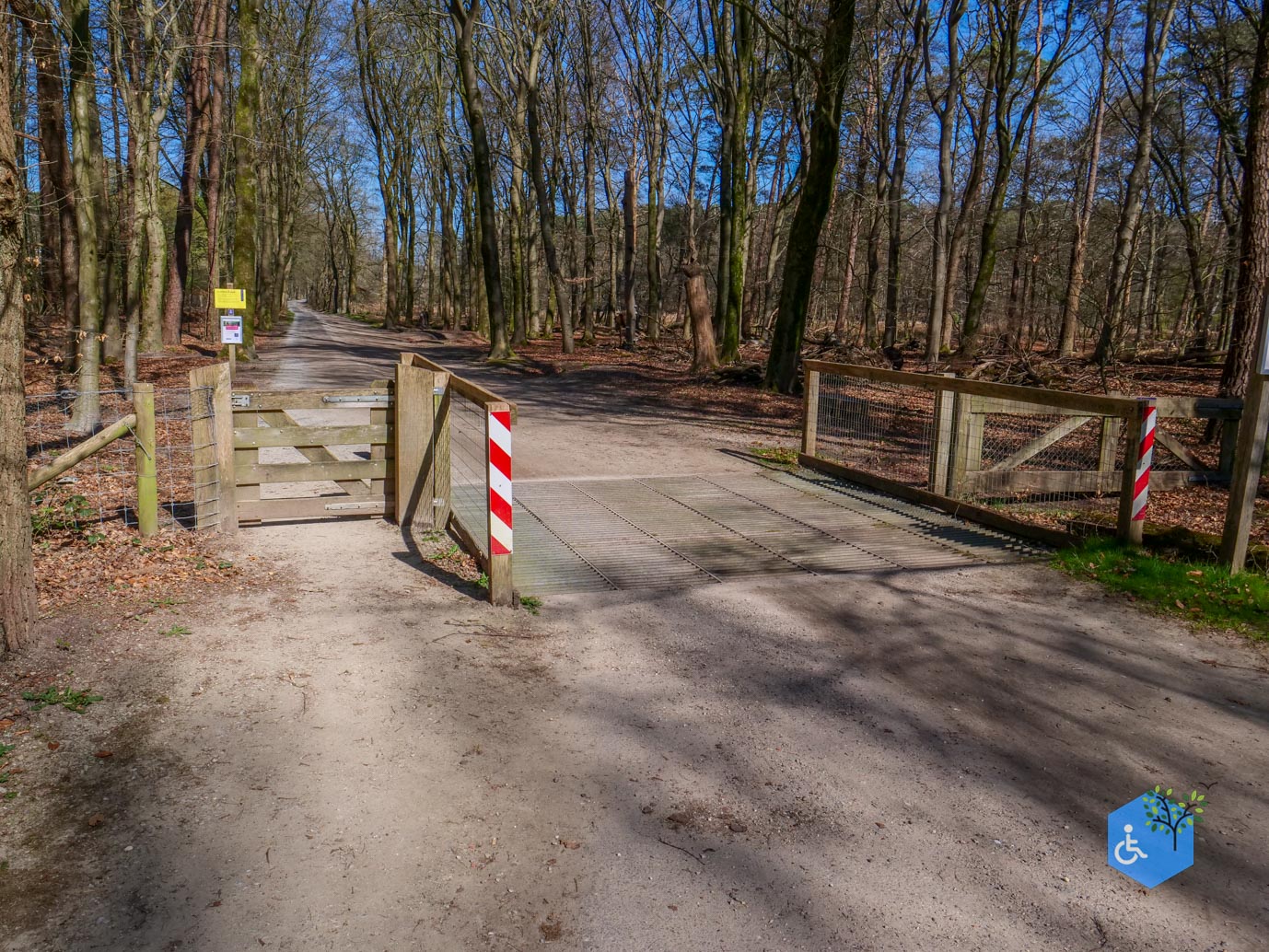 Ermelo_Familiepad_Leuvenumse_bossen_04-04-2025-04