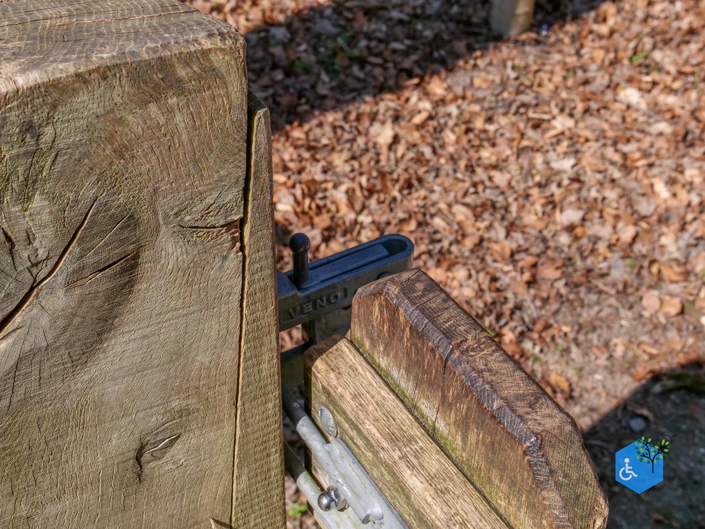 Ermelo_Familiepad_Leuvenumse_bossen_04-04-2025-06