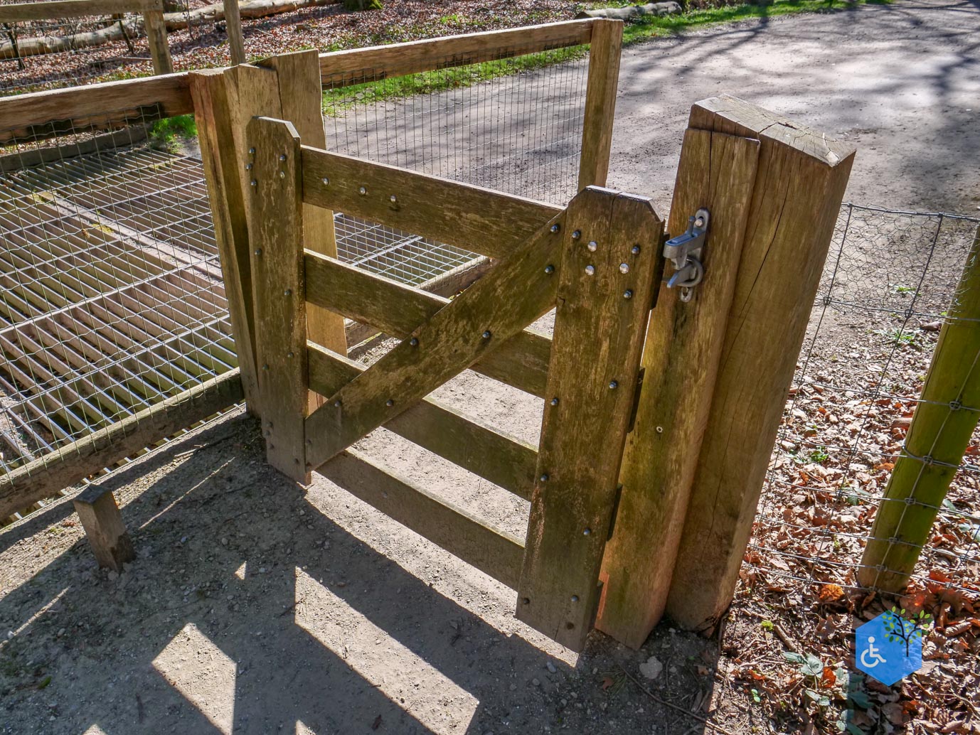 Ermelo_Familiepad_Leuvenumse_bossen_04-04-2025-07