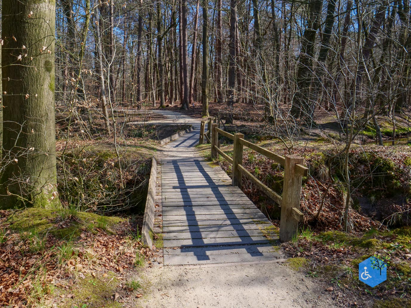 Ermelo_Familiepad_Leuvenumse_bossen_04-04-2025-13