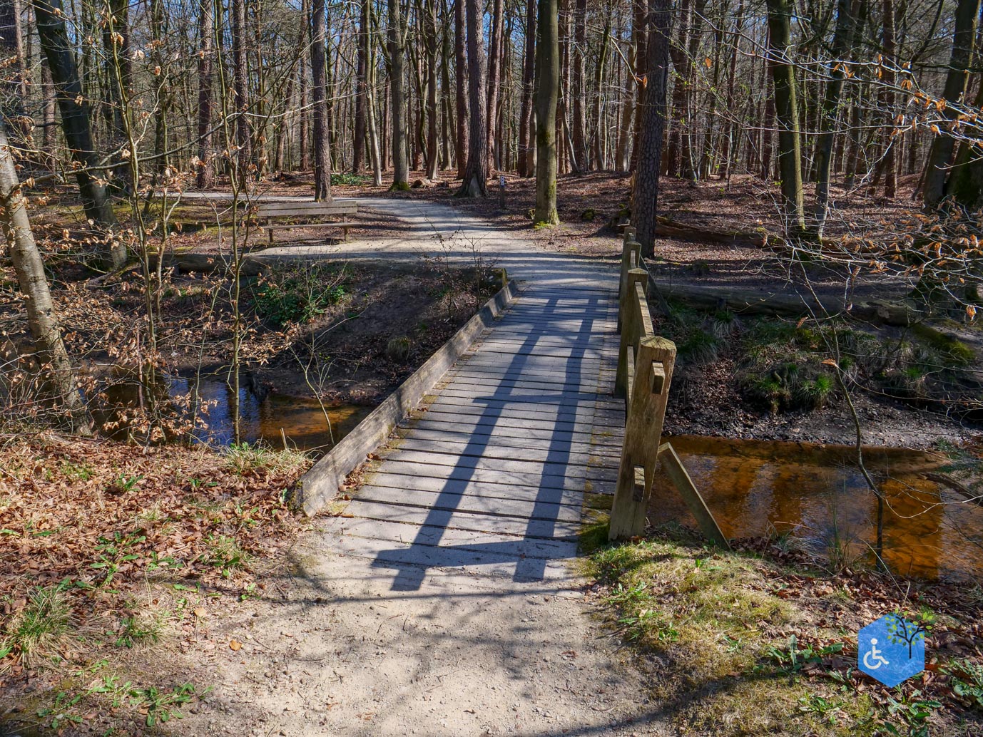Ermelo_Familiepad_Leuvenumse_bossen_04-04-2025-14