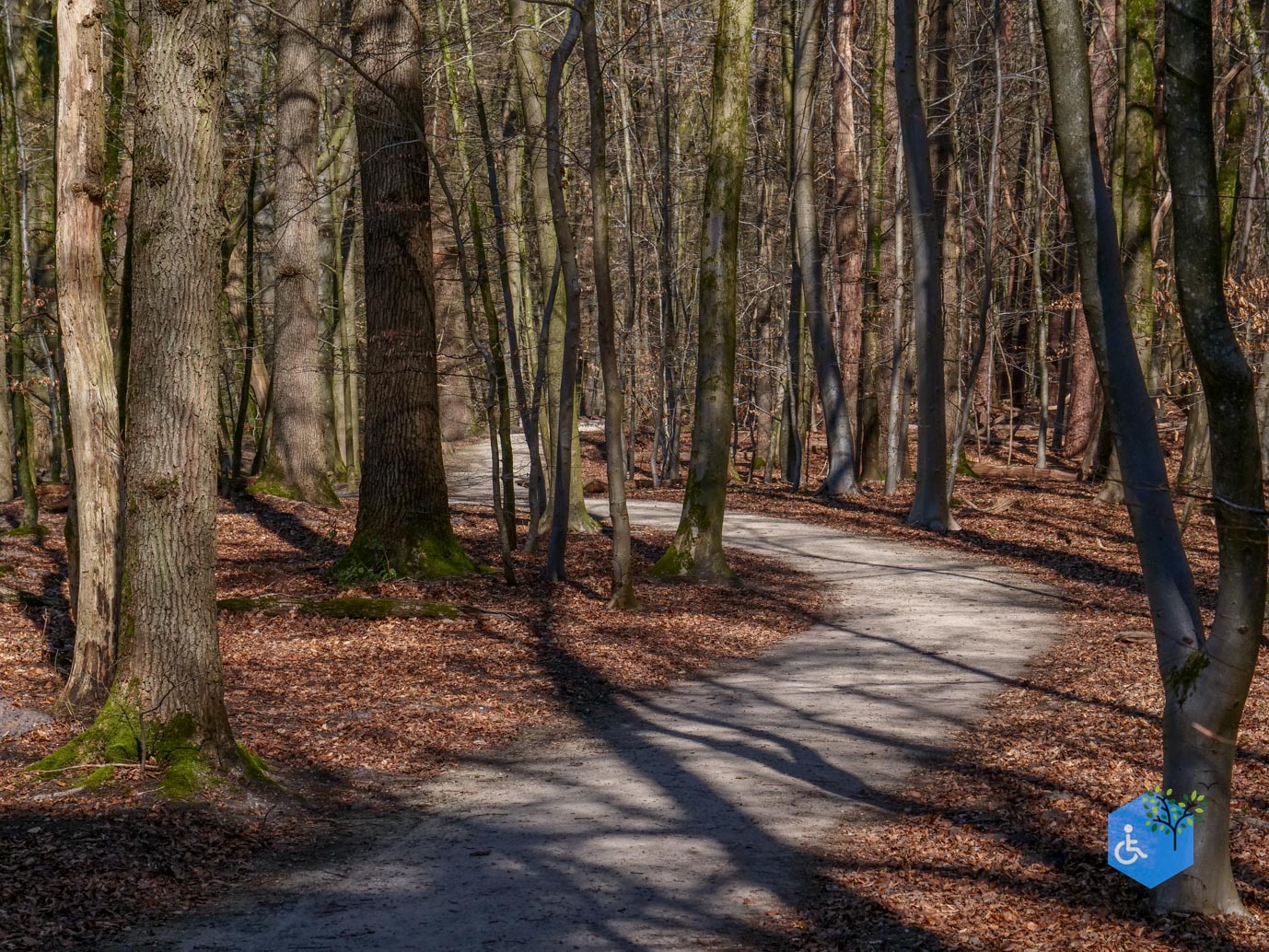 Ermelo_Familiepad_Leuvenumse_bossen_04-04-2025-17