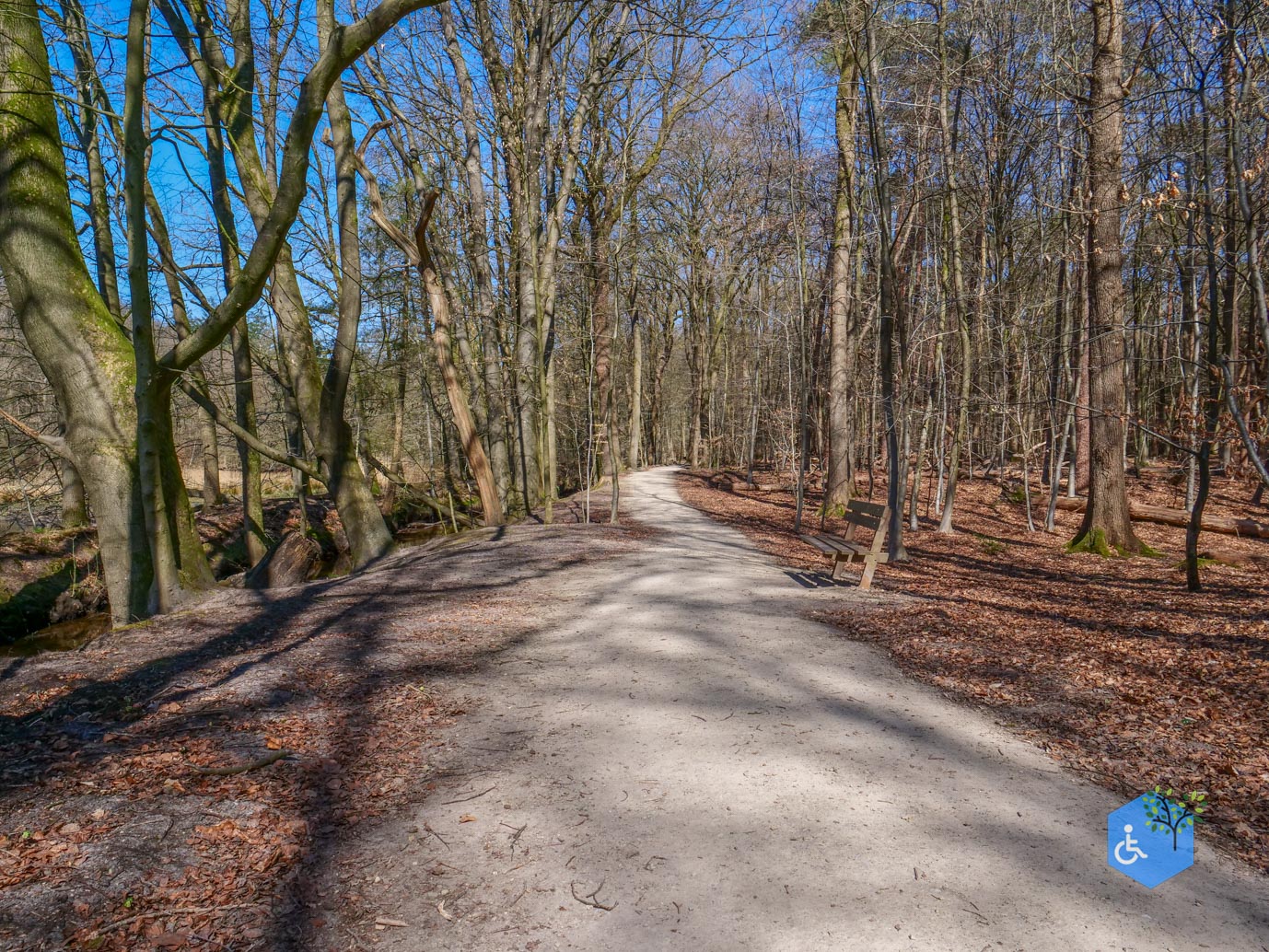 Ermelo_Familiepad_Leuvenumse_bossen_04-04-2025-19