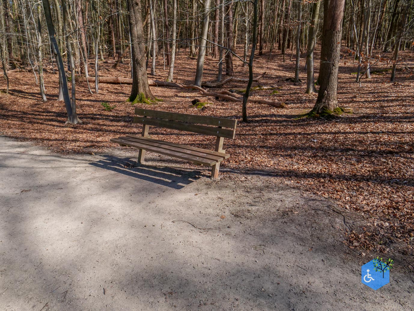 Ermelo_Familiepad_Leuvenumse_bossen_04-04-2025-20