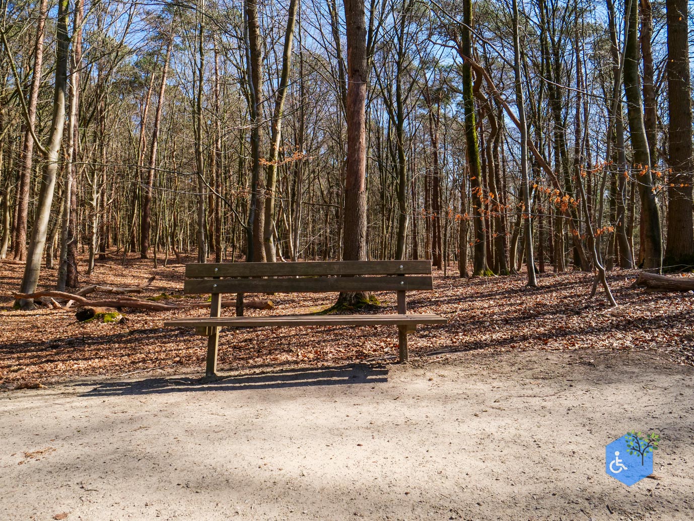 Ermelo_Familiepad_Leuvenumse_bossen_04-04-2025-21