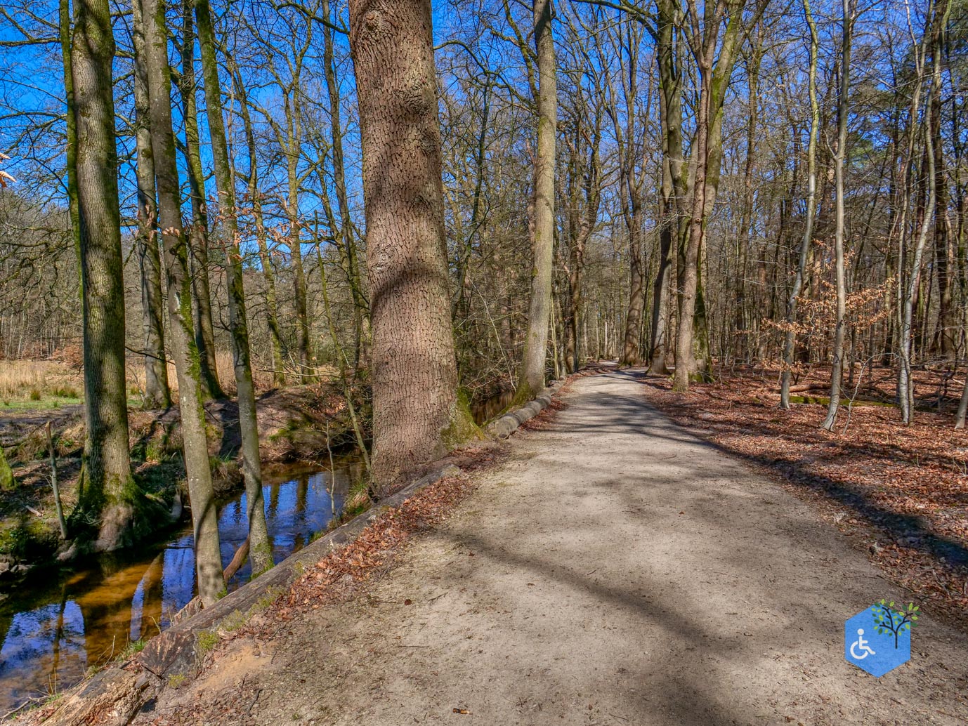 Ermelo_Familiepad_Leuvenumse_bossen_04-04-2025-23