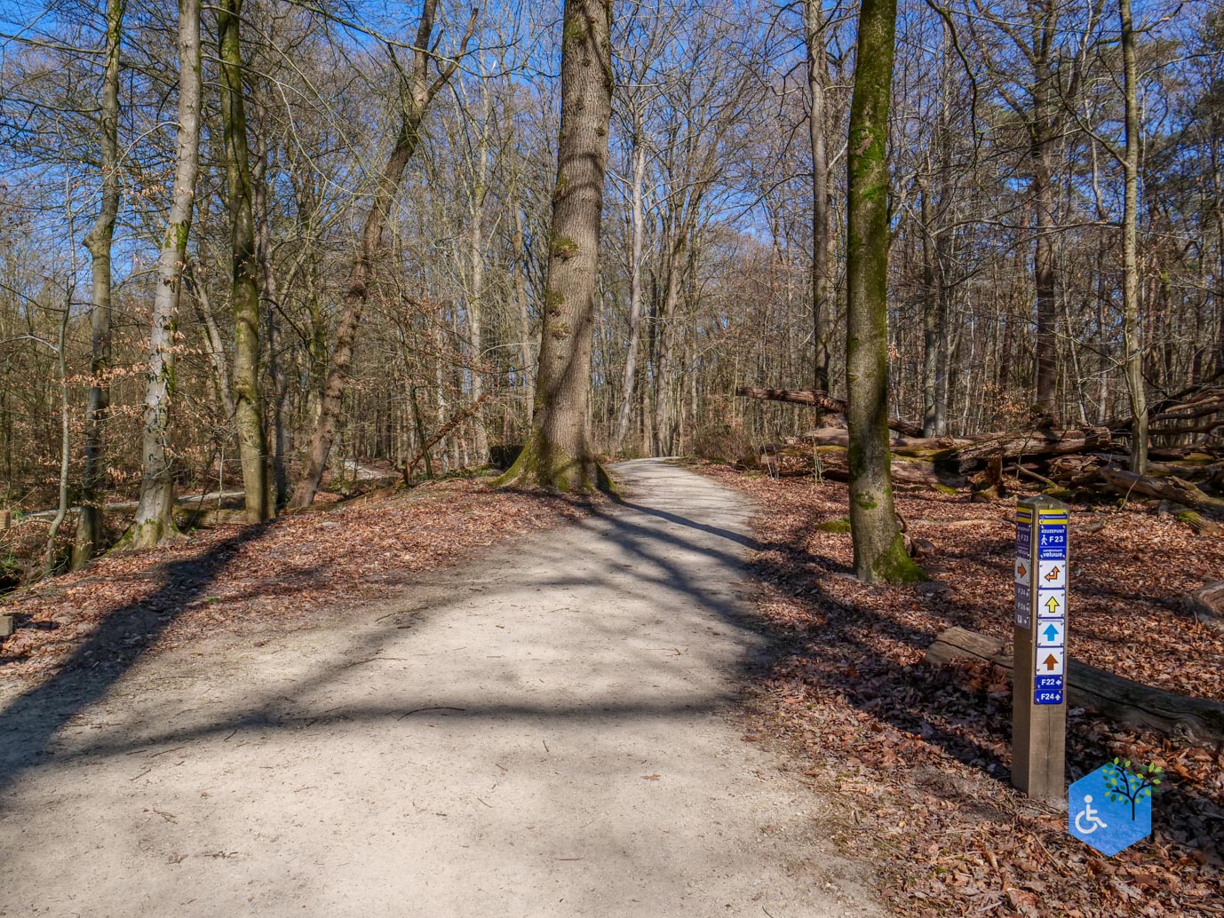 Ermelo_Familiepad_Leuvenumse_bossen_04-04-2025-24