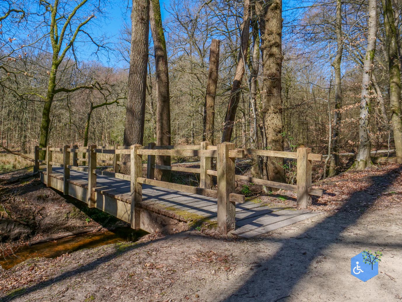 Ermelo_Familiepad_Leuvenumse_bossen_04-04-2025-25